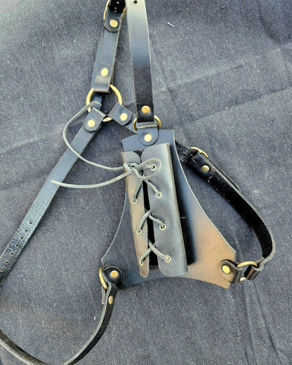 Sword Harness
